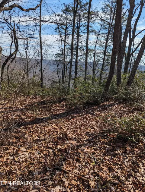 Cumberland Cove Rd, Monterey, TN 38574