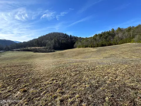 Old 15th Rd, Del Rio, TN 37727