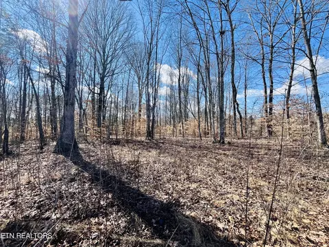 Beckham Rd., Rutledge, TN 37861 photo 11