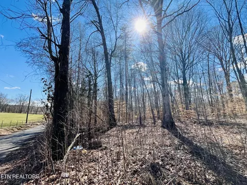 Beckham Rd., Rutledge, TN 37861 photo 15