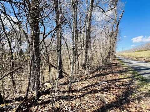 Beckham Rd., Rutledge, TN 37861 photo 2