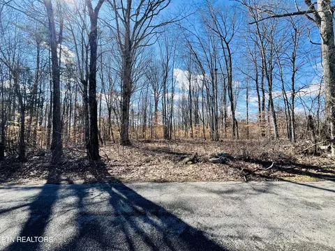 Beckham Rd., Rutledge, TN 37861 photo 6