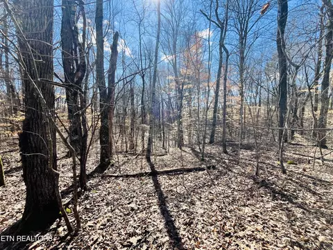 Beckham Rd., Rutledge, TN 37861 photo 10