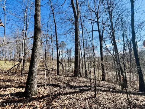 Beckham Rd., Rutledge, TN 37861 photo 4