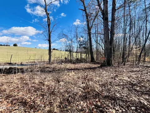 Beckham Rd., Rutledge, TN 37861 photo 8