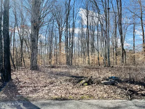 Beckham Rd., Rutledge, TN 37861 photo 5