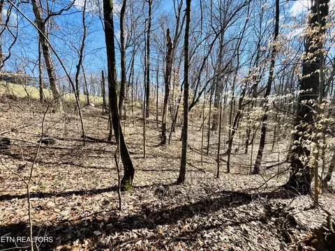 Beckham Rd., Rutledge, TN 37861 photo 13