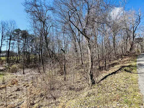 Beckham Rd., Rutledge, TN 37861 photo 3
