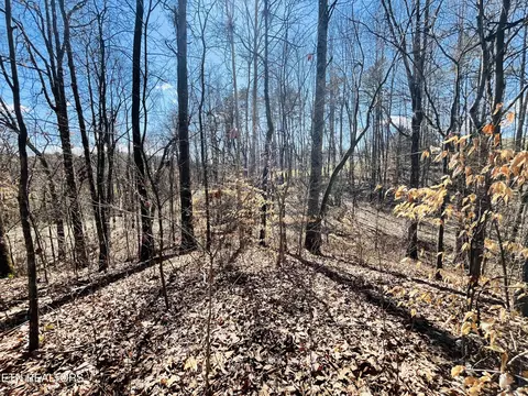 Beckham Rd., Rutledge, TN 37861 photo 14