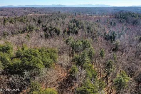 Twin Bridge Rd, Deer Lodge, TN 37726