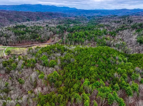 57 09 Acs Rafter Rd, Tellico Plains, TN 37385