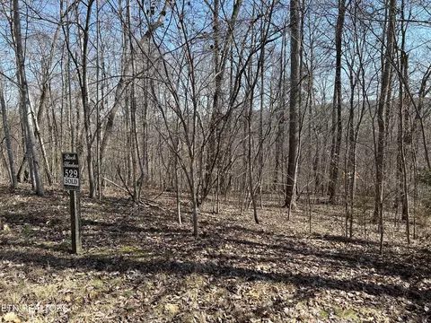 lot529 Garnet Trail Tr, New Tazewell, TN 37825
