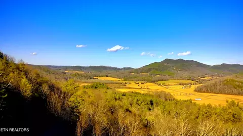 110 Bullet Mountain Dr, Tellico Plains, TN 37385