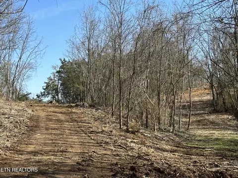 000 Dandelion Dr, Newport, TN 37821
