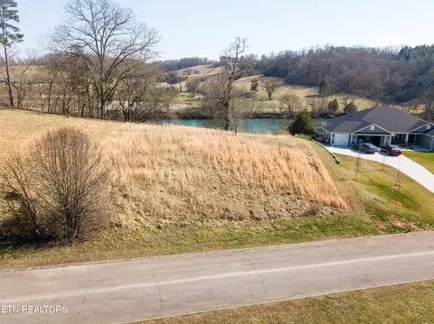 River Stone Drive Drive, Blaine, TN 37709