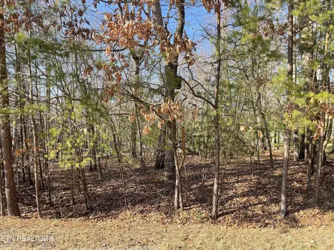 66 Bingham Ter, Crossville, TN 38558