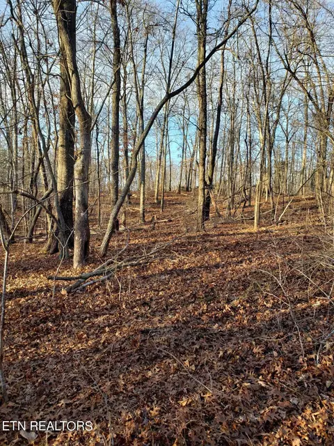 9076 Davis Ferry Rd, Loudon, TN 37774
