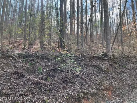 Grey Fox Run, Sevierville, TN 37862