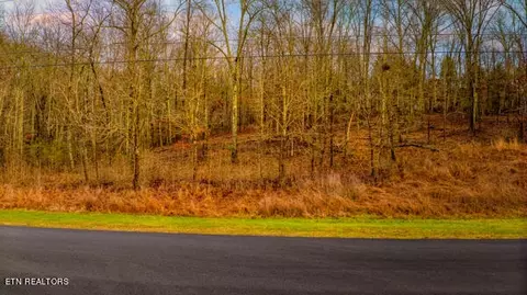 lot230 New Hope Rd, Rockwood, TN 37854