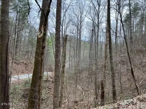 Woodside Lane, Sevierville, TN 37862
