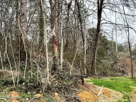 Toomey Lane Lane, Madisonville, TN 37354