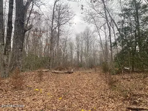 Parcel 1 Rome Rd, Deer Lodge, TN 37726