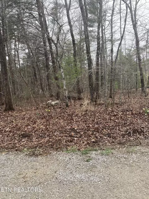 12 Spillway Cir, Fairfield Glade, TN 38558