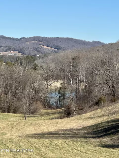 41 Bob Wright Road, Maynardville, TN 37807