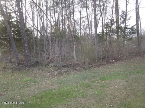 Scenic View Drive, Rutledge, TN 37861
