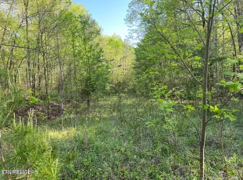 N Of Highway 27, Harriman, TN 37748
