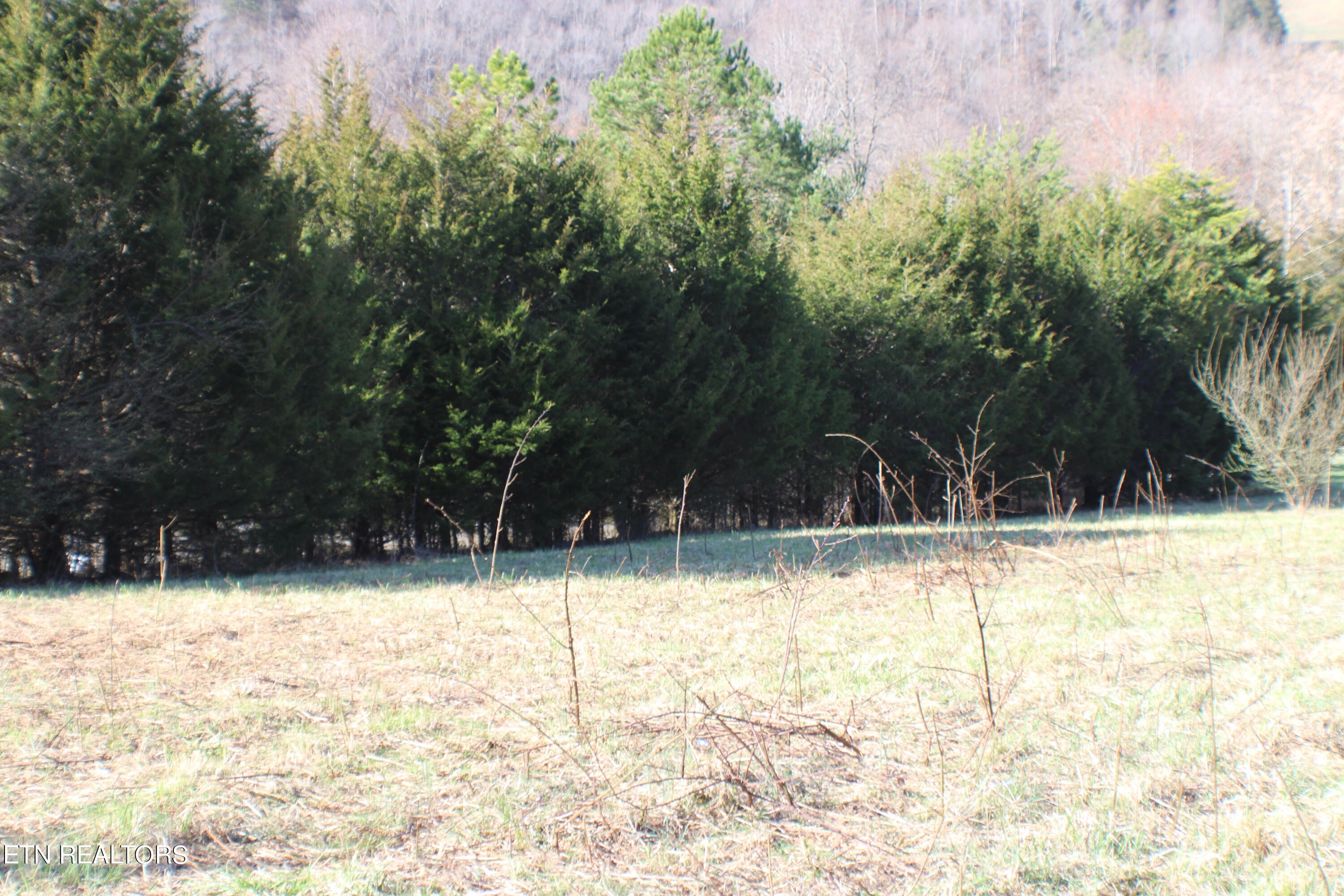 lot Unit 17 Mockingbird Cir  