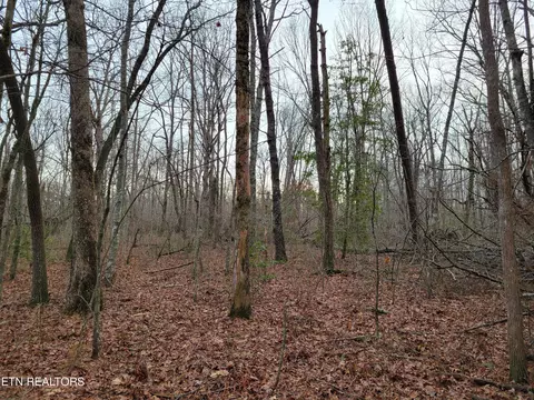 Rhonda Place, Monterey, TN 38574