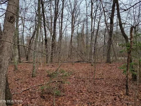 Rhonda Place, Monterey, TN 38574