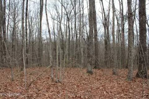 701 Caver Ln, Jamestown, TN 38556