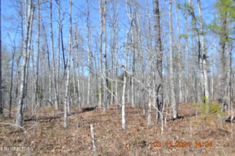 1125 Hernando Trce, Crossville, TN 38572
