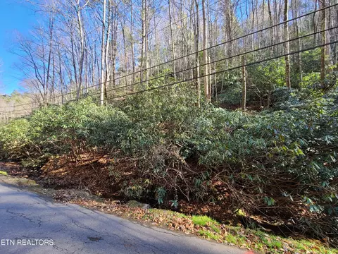 17 Butler Branch Road, Gatlinburg, TN 37738