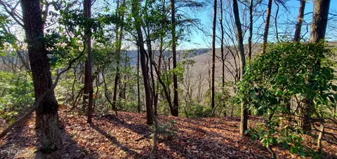 Tanner Drive, Monterey, TN 38574
