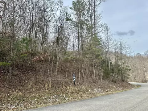 lot520 Mystic Star Dr, New Tazewell, TN 37825