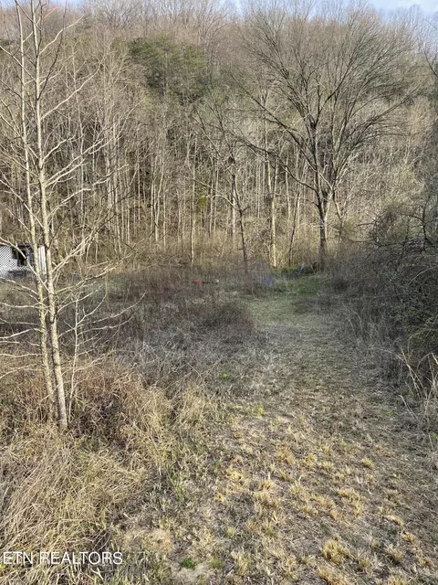 Hinds Creek Rd, Maynardville, TN 37807