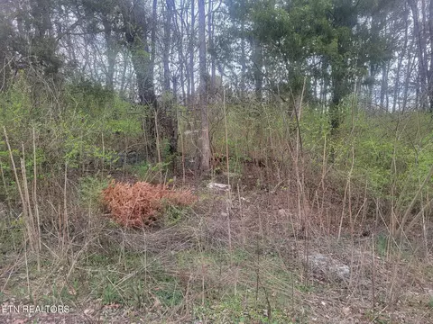 2028 Countryhill Ln, Knoxville, TN 37923