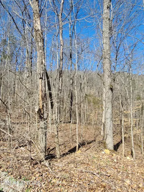 Buffalo Cove Ln Lane, Jamestown, TN 38556