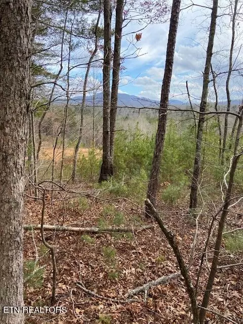 137 Rocky Ford Rd, Turtletown, TN 37391
