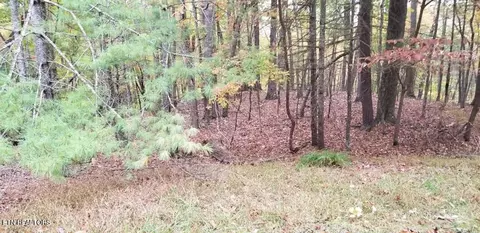 44 Pineridge Ct, Fairfield Glade, TN 38558