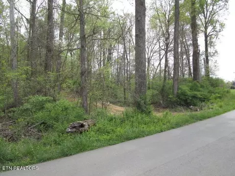 Lot 10 Mcbee Mill Rd, Blaine, TN 37709