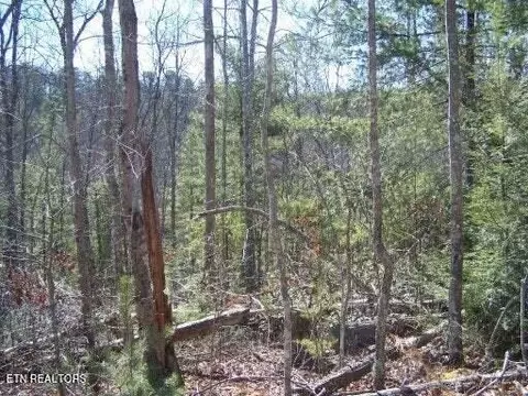 Christa Tr, Walland, TN 37886