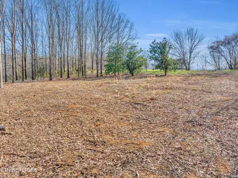 Espalier Drive Drive, Decatur, TN 37322