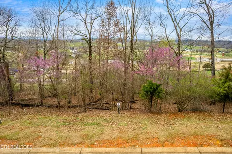 529 Black Cove Ln, Loudon, TN 37774