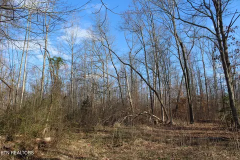 Tate Hill Rd, Jamestown, TN 38556
