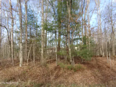1049 Oceola Cir, Crossville, TN 38572