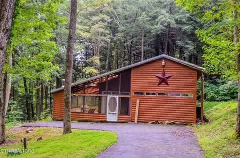 155 White Creek Ct, Deer Lodge, TN 37726
